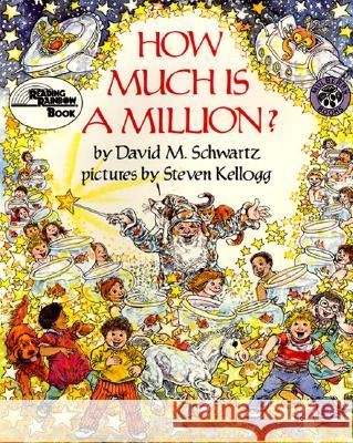 How Much Is a Million? David M. Schwartz Steven Kellogg 9780688040499 HarperCollins Publishers - książka