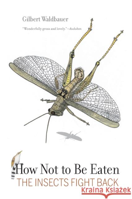 How Not to Be Eaten: The Insects Fight Back Gilbert Waldbauer James Nardi 9780520383005 University of California Press - książka