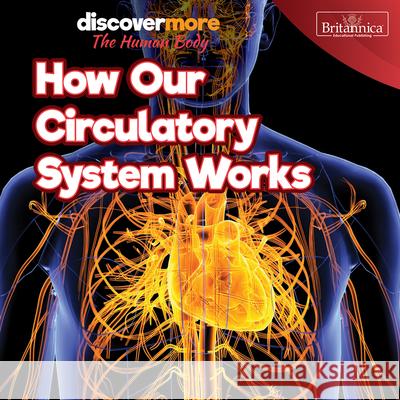 How Our Circulatory System Works Dwight Morris 9781641904377 Rosen Education Service - książka