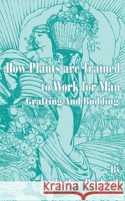 How Plants Are Trained to Work for Man: Grafting and Budding Luther Burbank 9780898752915 University Press of the Pacific - książka