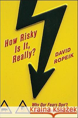 How Risky Is It, Really?: Why Our Fears Don't Always Match the Facts David Ropeik 9780071629690  - książka