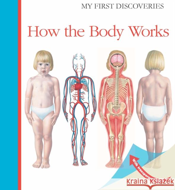 How the Body Works Sylvaine Peyrols Sylvaine Peyrols 9781851034406 Moonlight Publishing Ltd - książka