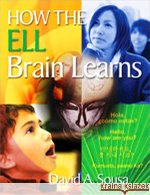 How the Ell Brain Learns Sousa, David A. 9781412988346 SAGE Publications Inc - książka