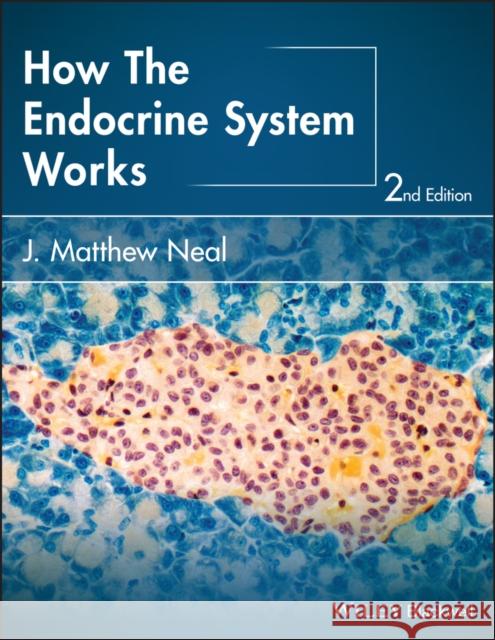 How the Endocrine System Works Neal, J. Matthew 9781118931486 John Wiley and Sons Ltd - książka