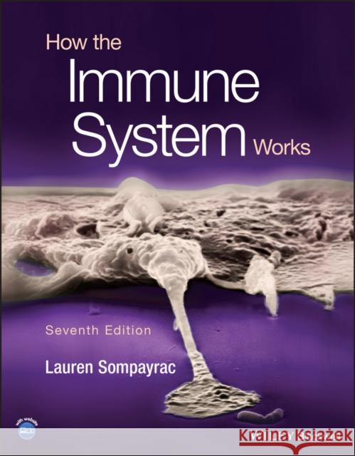 How the Immune System Works Lauren M. (University of Colorado at Boulder) Sompayrac 9781119890683 John Wiley and Sons Ltd - książka