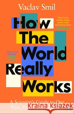 How the World Really Works: A Scientist’s Guide to Our Past, Present and Future Vaclav Smil 9780241989678 Penguin Books Ltd - książka
