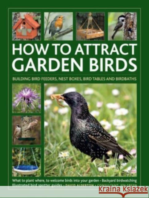 How to Attract Garden Birds: What to plant; Bird feeders, bird tables, birdbaths; Building nest boxes: Backyard birdwatching, with illustrated directories of common garden birds David Alderton 9780754835042 Anness Publishing - książka