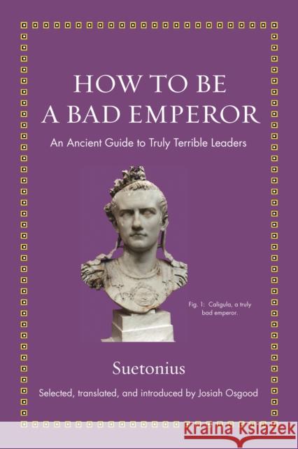 How to Be a Bad Emperor: An Ancient Guide to Truly Terrible Leaders Suetonius 9780691193991 Princeton University Press - książka