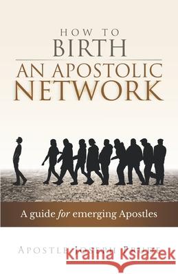 How to Birth an Apostolic Network: A quide for emerging Apostles Prude, Joseph 9798521245079 Independently published - książka