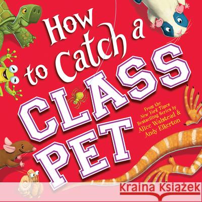 How to Catch a Class Pet Alice Walstead 9781728263939 Sourcebooks, Inc - książka