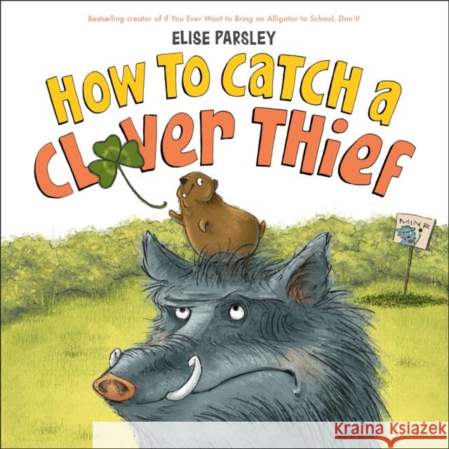 How to Catch a Clover Thief Elise Parsley 9780316534284 Little, Brown Books for Young Readers - książka