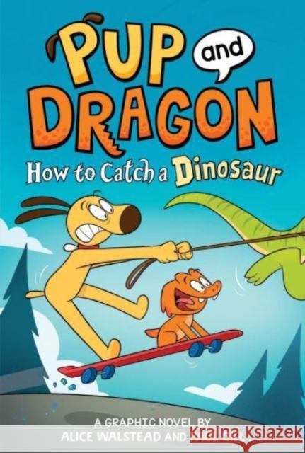 How to Catch Graphic Novels: How to Catch a Dinosaur Alice Walstead 9781728239545 Sourcebooks, Inc - książka