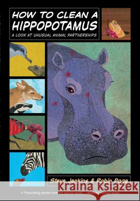 How to Clean a Hippopotamus: A Look at Unusual Animal Partnerships Steve Jenkins 9780547994840  - książka