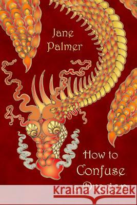 How to Confuse a Dragon Jane Palmer 9781906442323 Dodo Books - książka