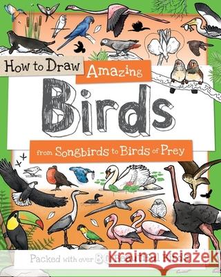 How to Draw Amazing Birds: From Songbirds to Birds of Prey Fiona Gowen 9781438010533 Barron's Educational Series - książka