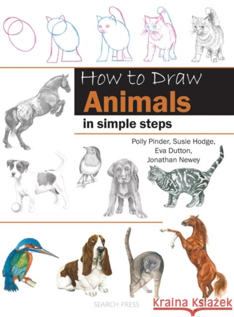 How to Draw: Animals: In Simple Steps Susie Hodge 9781844486649  - książka