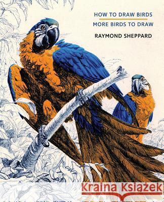 How to Draw Birds / More Birds to Draw Raymond Sheppard 9781616464400 Coachwhip Publications - książka