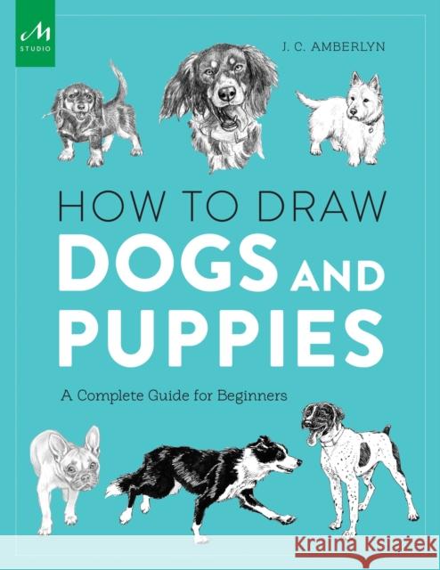 How to Draw Dogs and Puppies: A Complete Guide for Beginners J. C. Amberlyn 9781580934541 Monacelli Studio - książka