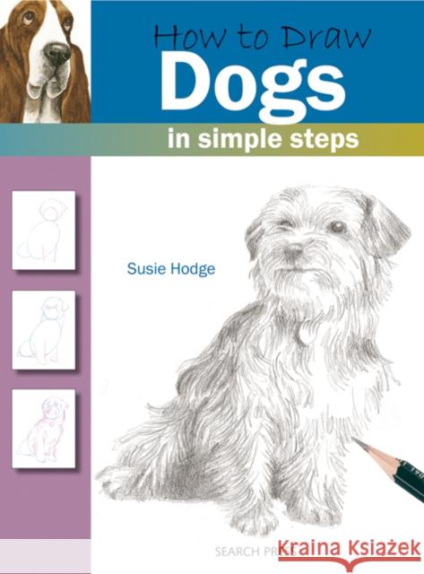 How to Draw: Dogs: In Simple Steps Susie Hodge 9781844483747 Search Press Ltd - książka