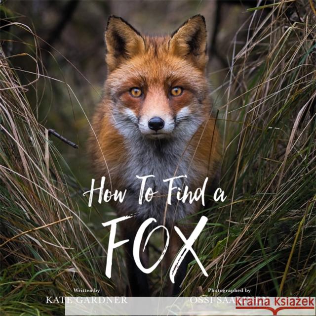 How to Find a Fox Kate Gardner Ossi Saarinen 9780762471355 Running Press Kids - książka
