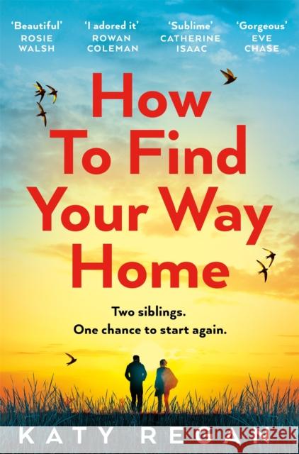 How To Find Your Way Home Katy Regan 9781509837427 Pan Macmillan - książka