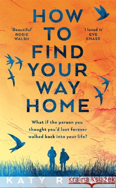 How To Find Your Way Home Katy Regan 9781529020342 Pan Macmillan - książka