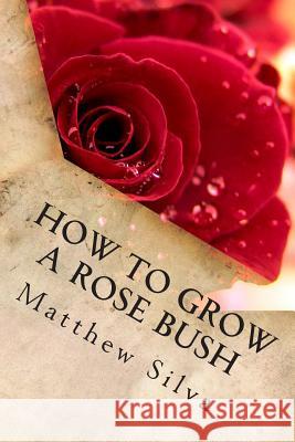 How To Grow A Rose Bush Silva, Matthew 9781496131485 Createspace - książka