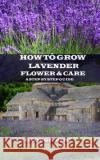 How to Grow Lavender Flower and Care: A Step by Step Guide George Best 9781690929550 Independently Published