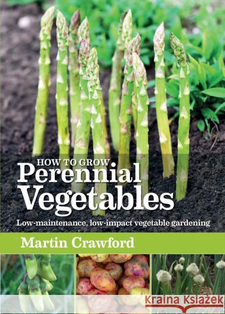 How to Grow Perennial Vegetables: Low-maintenance, low-impact vegetable gardening Martin Crawford 9781900322843 Bloomsbury Publishing PLC - książka