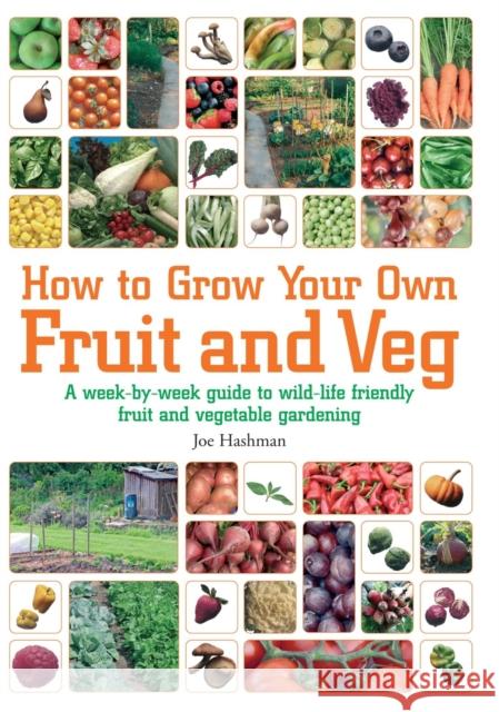 How To Grow Your Own Fruit and Veg Hashman, Joe 9781905862771  - książka