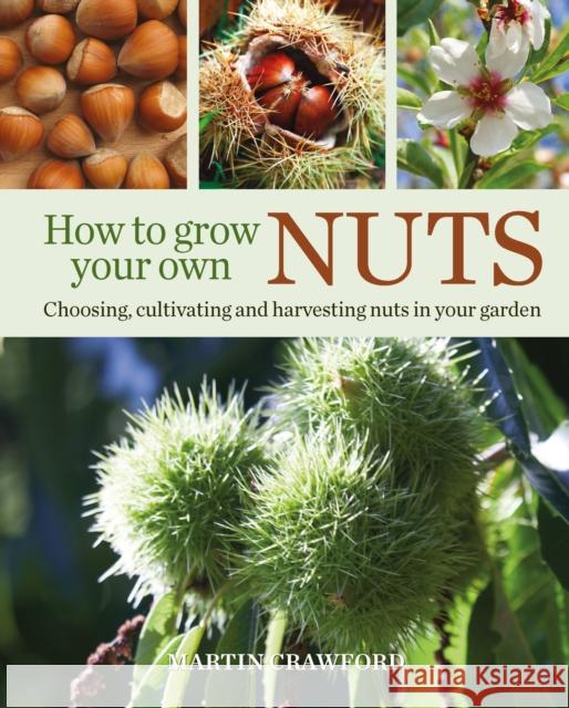 How to Grow Your Own Nuts: Choosing, cultivating and harvesting nuts in your garden Martin Crawford 9780857843937 Bloomsbury Publishing PLC - książka