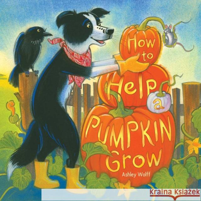 How to Help a Pumpkin Grow Ashley Wolff Ashley Wolff 9781481419345 Beach Lane Books - książka