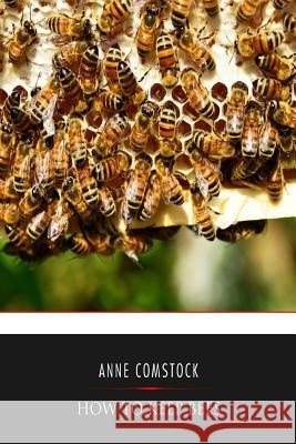 How to Keep Bees Anna Botsford Comstock 9781541351745 Createspace Independent Publishing Platform - książka