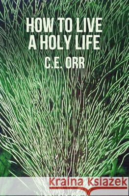 How To Live A Holy Life Orr, C. E. 9781477569870 Createspace Independent Publishing Platform - książka