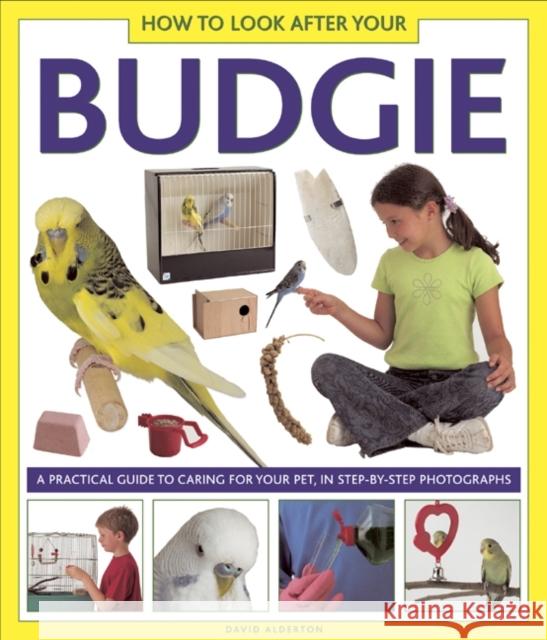 How to Look After Your Budgie David Alderton 9781861473264  - książka