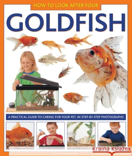 How to Look After Your Goldfish Alderton David 9781843227335 Anness Publishing - książka