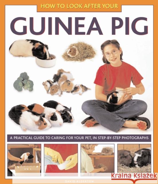 How to Look After Your Guinea Pig David Alderton 9781843227687 Anness Publishing - książka