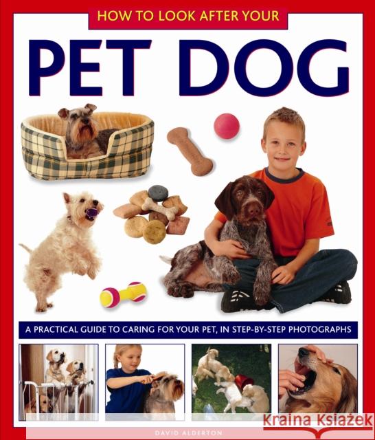 How to Look After Your Pet Dog David Alderton 9781843228394 Anness Publishing - książka