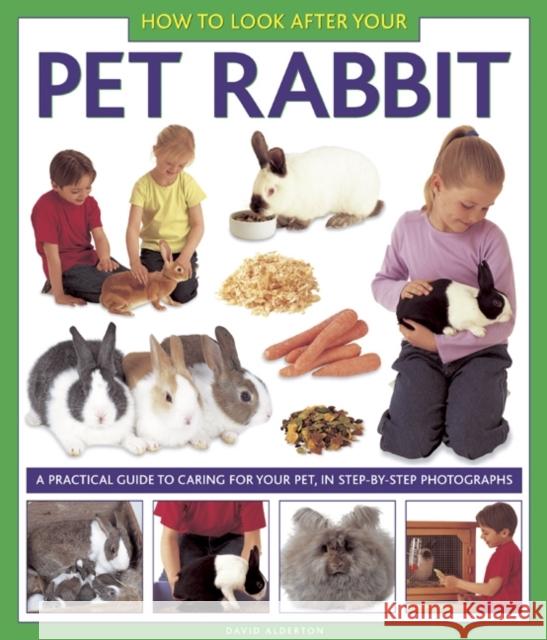 How to Look After Your Pet Rabbit David Alderton 9781843228349 Anness Publishing - książka