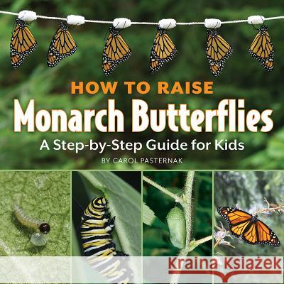 How to Raise Monarch Butterflies: A Step-By-Step Guide for Kids Carol Pasternak 9781770850019 Firefly Books - książka
