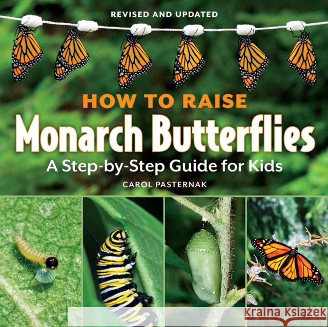 How to Raise Monarch Butterflies: A Step-By-Step Guide for Kids Carol Pasternak 9781770850026 Firefly Books - książka