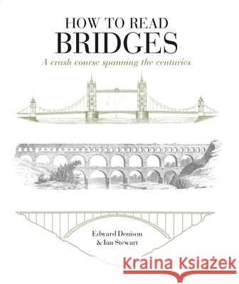 How to Read Bridges: A Crash Course Spanning the Centuries Ian Stewart 9781912217311 Bloomsbury Publishing PLC - książka