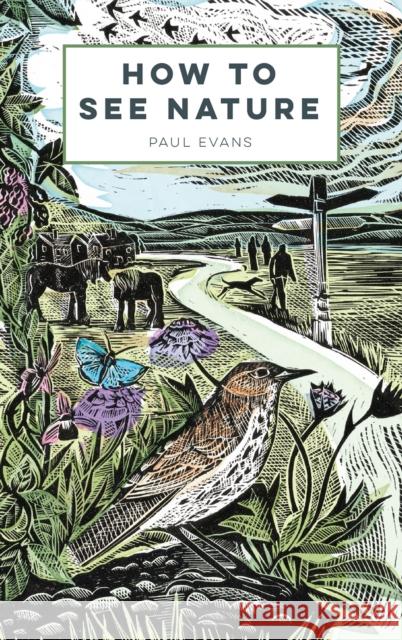 How to See Nature Paul Evans 9781849945813 Batsford - książka