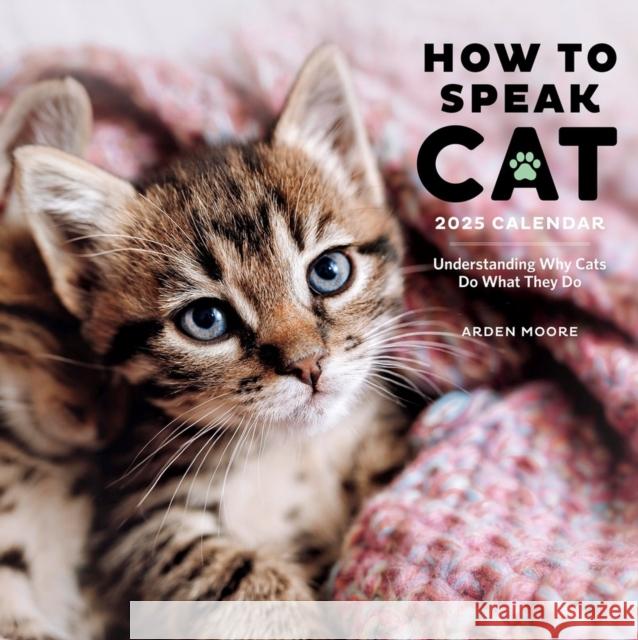 How to Speak Cat Wall Calendar 2025: Understanding Why Cats Do What They Do Workman Calendars                        Arden Moore 9781523526659 Workman Publishing - książka