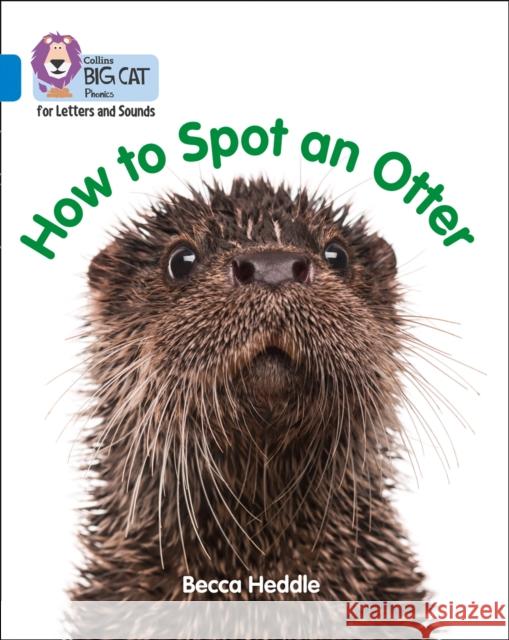 How to Spot an Otter: Band 04/Blue Heddle, Becca 9780008251642 HarperCollins Publishers - książka