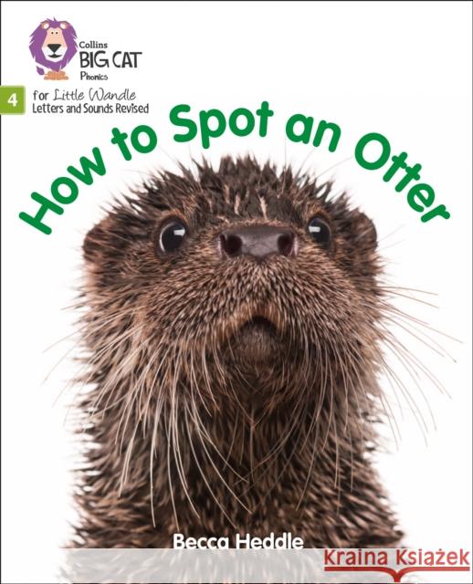 How to Spot an Otter: Phase 4 Set 2 Heddle, Becca 9780008502645 HarperCollins Publishers - książka