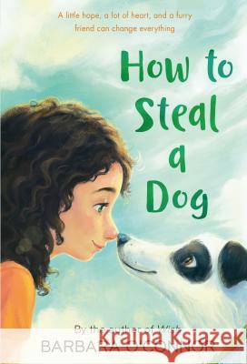 How to Steal a Dog Barbara O'Connor 9780312561123 Square Fish - książka