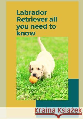 How to Train a Labrador Retriever Paul Fink   9798378547852 Independently Published - książka
