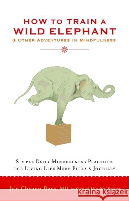 How to Train a Wild Elephant: And Other Adventures in Mindfulness Bays, Jan Chozen 9781590308172 Shambhala Publications - książka
