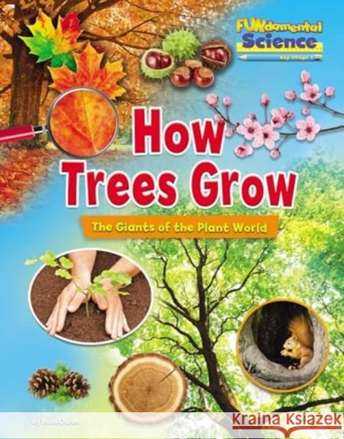 How Trees Grow: The Giants of the Plant World Ruth Owen 9781788562027 Ruby Tuesday Books Ltd - książka